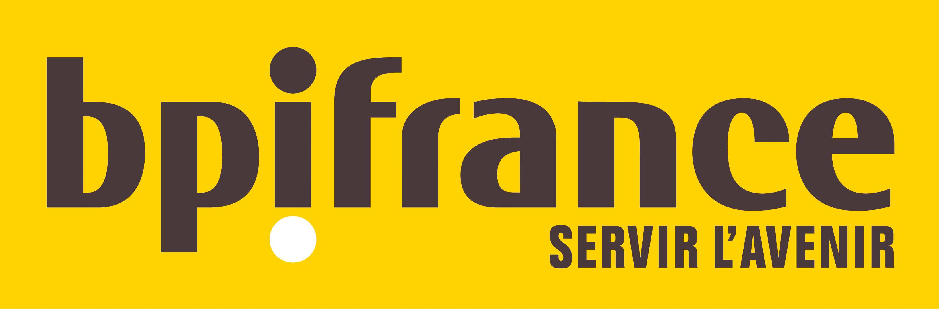 Logo pepite france